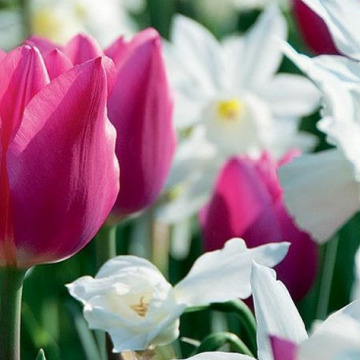 Notice Gallery for Leigh - Hannah RITCHIE