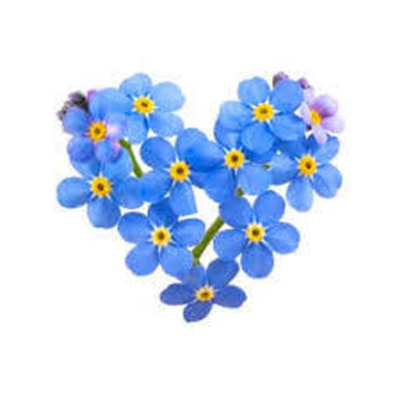 Photo of Betty TIPPING