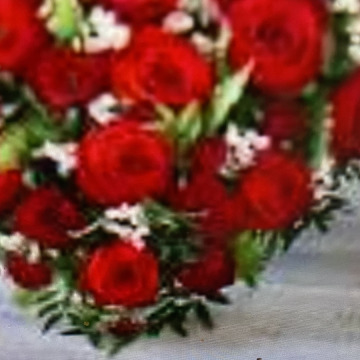 Photo for notice Toni David DEXTER