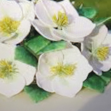 Photo for notice Toni David DEXTER