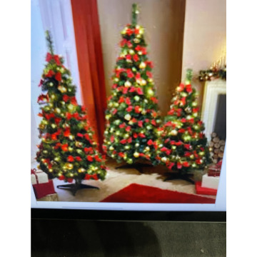 Photo for notice Toni David DEXTER