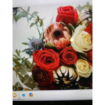 Photo for notice Toni David DEXTER