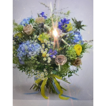 Photo for notice Toni David DEXTER