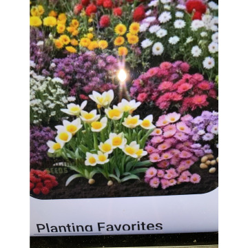 Photo for notice Toni David DEXTER