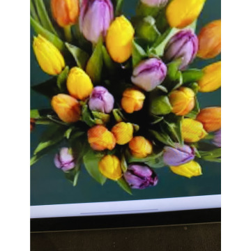 Photo for notice Toni David DEXTER