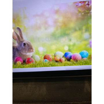 Photo for notice Toni David DEXTER