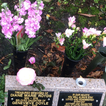 Photo of DIANE MARIE ROYDS