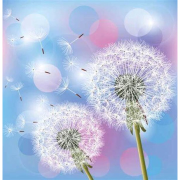 Photo of KATHLEEN NEEDHAM