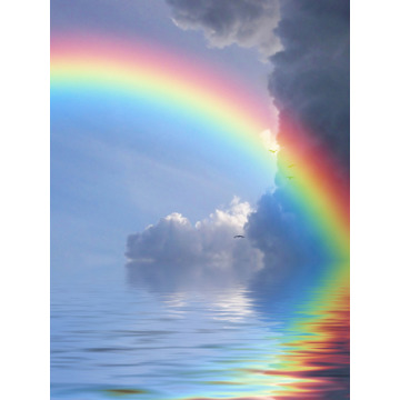 Photo of Beryl JELLEY