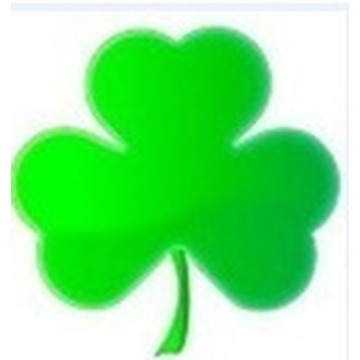 Photo of Anthony McINERNEY