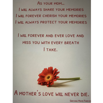 Notice Gallery for CONNOR MASSEY