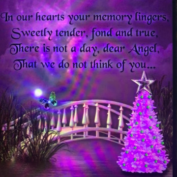 Notice Gallery for CONNOR MASSEY