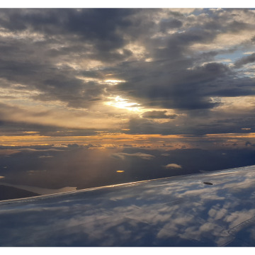 Notice Gallery for Wyn MORRIS-JONES