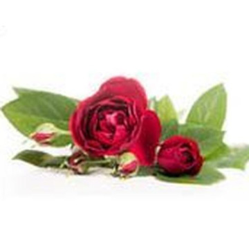 Photo of Jacqueline Anne TURLEY