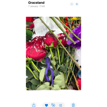 Photo for notice Shirley Yvonne GOSTELOW