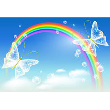 Photo of MORUM CLARE EVELYN