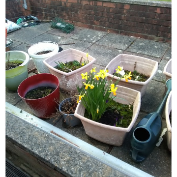 Notice Gallery for Valmai Dorothy Rita WILLIAMS