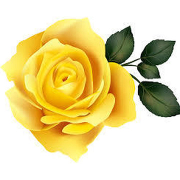 Photo of Barry COCKS