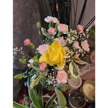 Photo for notice Ann Josephine DAVIN