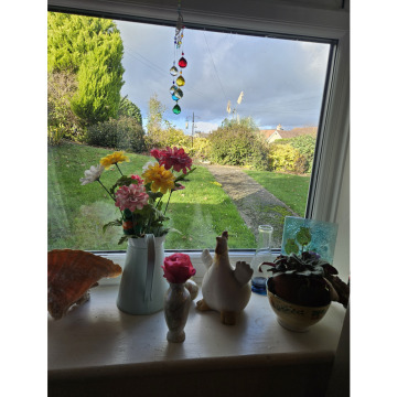 Photo for notice Ann Josephine DAVIN