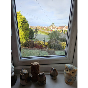 Photo for notice Ann Josephine DAVIN