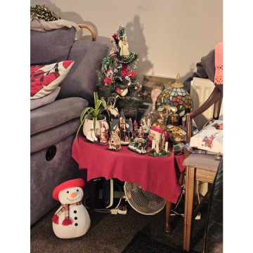 Photo for notice Ann Josephine DAVIN