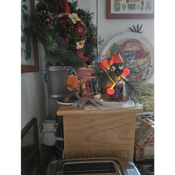 Photo for notice Ann Josephine DAVIN