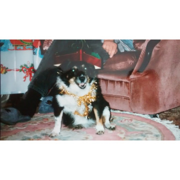 Notice Gallery for Rick Florence Michaela Kimmy TOBIN-ROBINSON