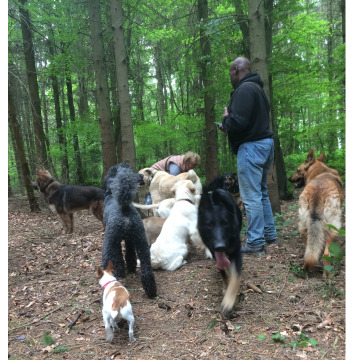 Notice Gallery for Glenn BROWNE