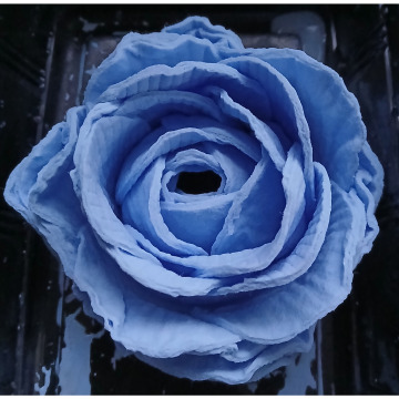 Photo for notice Margaret Ann DOVE