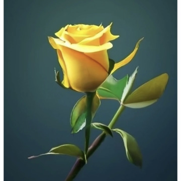 Notice Gallery for MARK D'ARCY