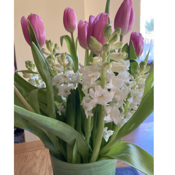 Notice Gallery for June Hazel WOOTTON