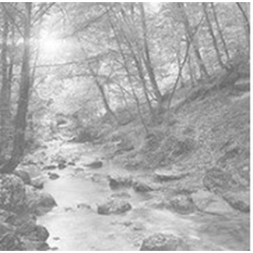 Notice Gallery for Brian WEMYSS