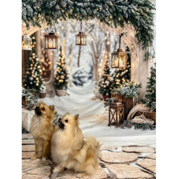 Photo for notice Alice Mary MANNERS