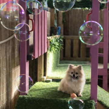 Photo for notice Alice Mary MANNERS