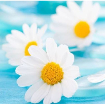 Photo of Douglas DRINKWATER