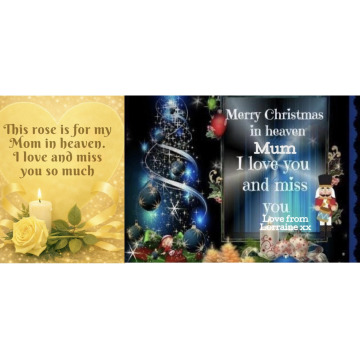 Photo for notice Larian SANT