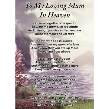 Photo for notice Larian SANT