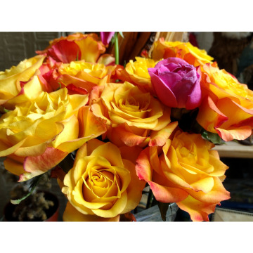 Notice Gallery for Gaynor BARTLETT