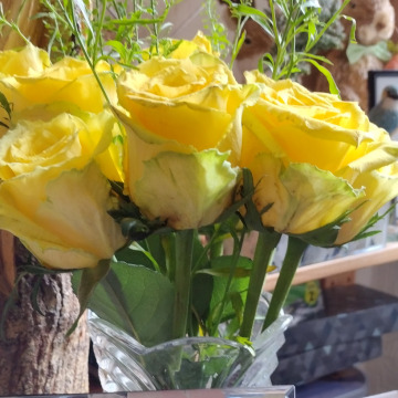 Notice Gallery for Gaynor BARTLETT