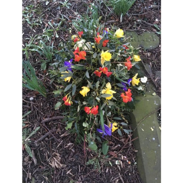 Notice Gallery for Myra (Mary Jane) SCULLY