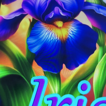 Photo for notice IRIS GOSLING