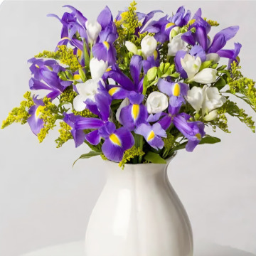 Photo for notice IRIS GOSLING