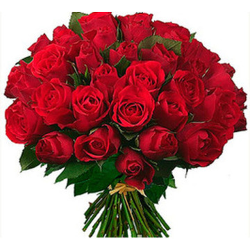 Photo of Dawn Elizabeth SPOONER