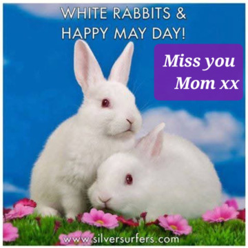 Notice Gallery for JEAN MARGARET VIZE