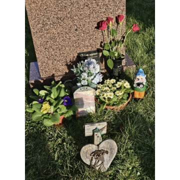 Notice Gallery for Terence William FORD