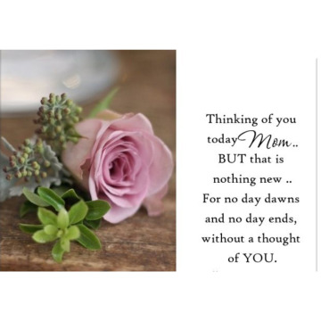 Notice Gallery for Ann DUGGAN