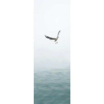 Photo for notice Luciane MURFITT