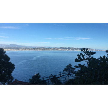 Photo for notice IRENE MIDDLEMISS