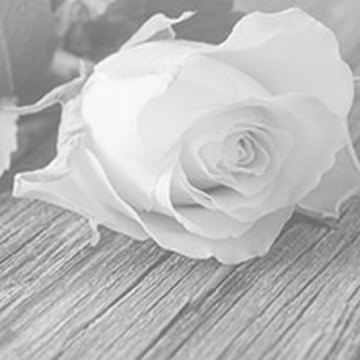 Photo of Leslie MOORE